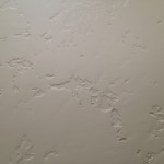 Drywall Caldwell